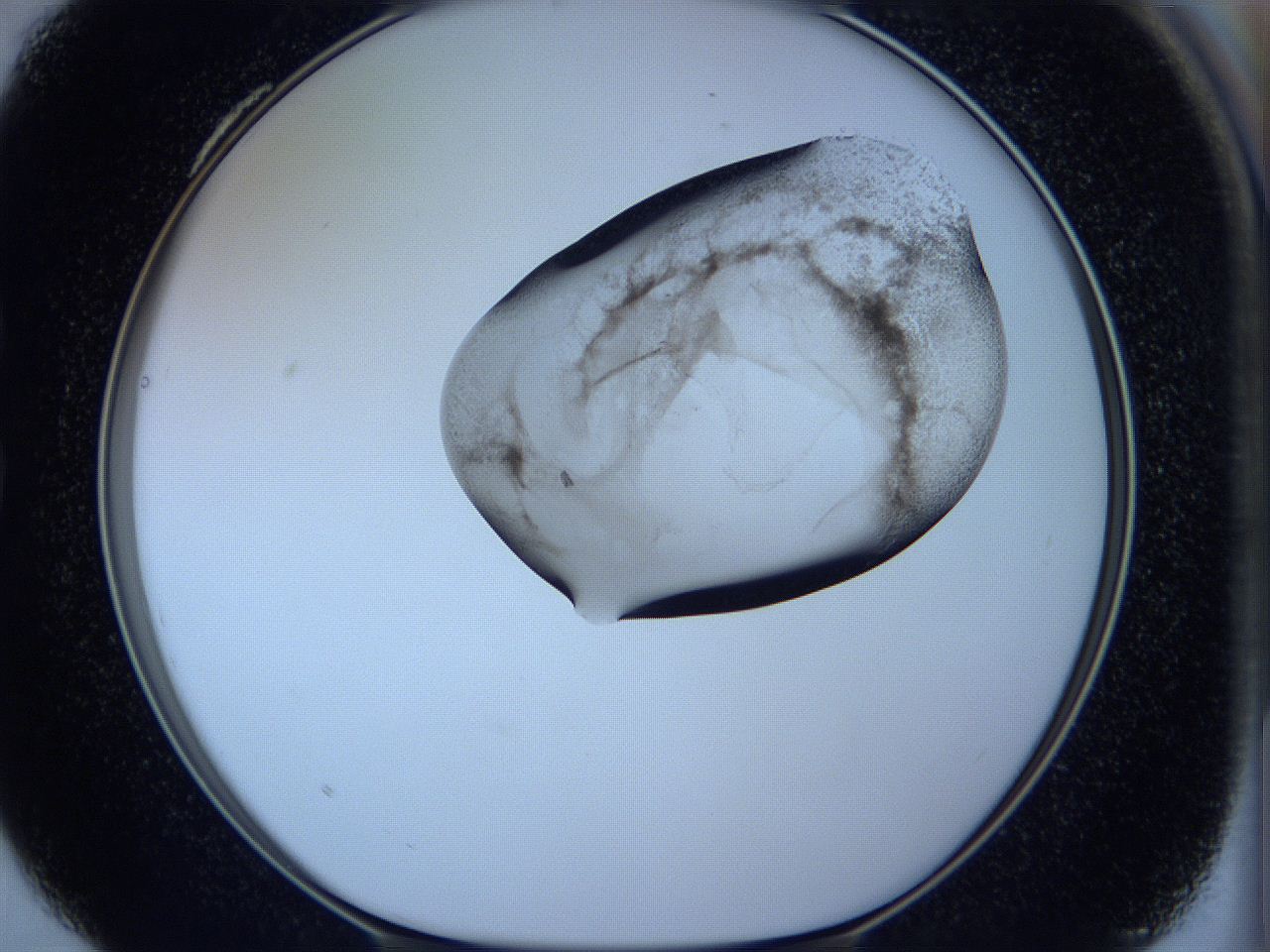 05w9_C4_ImagerDefaults_3.jpg