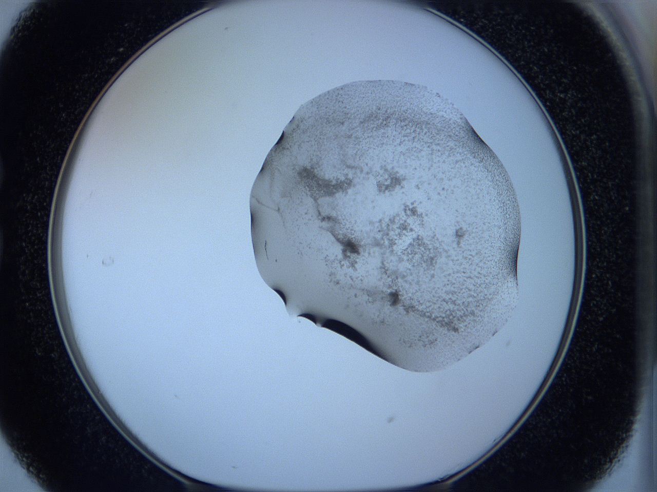 05w9_C5_ImagerDefaults_3.jpg