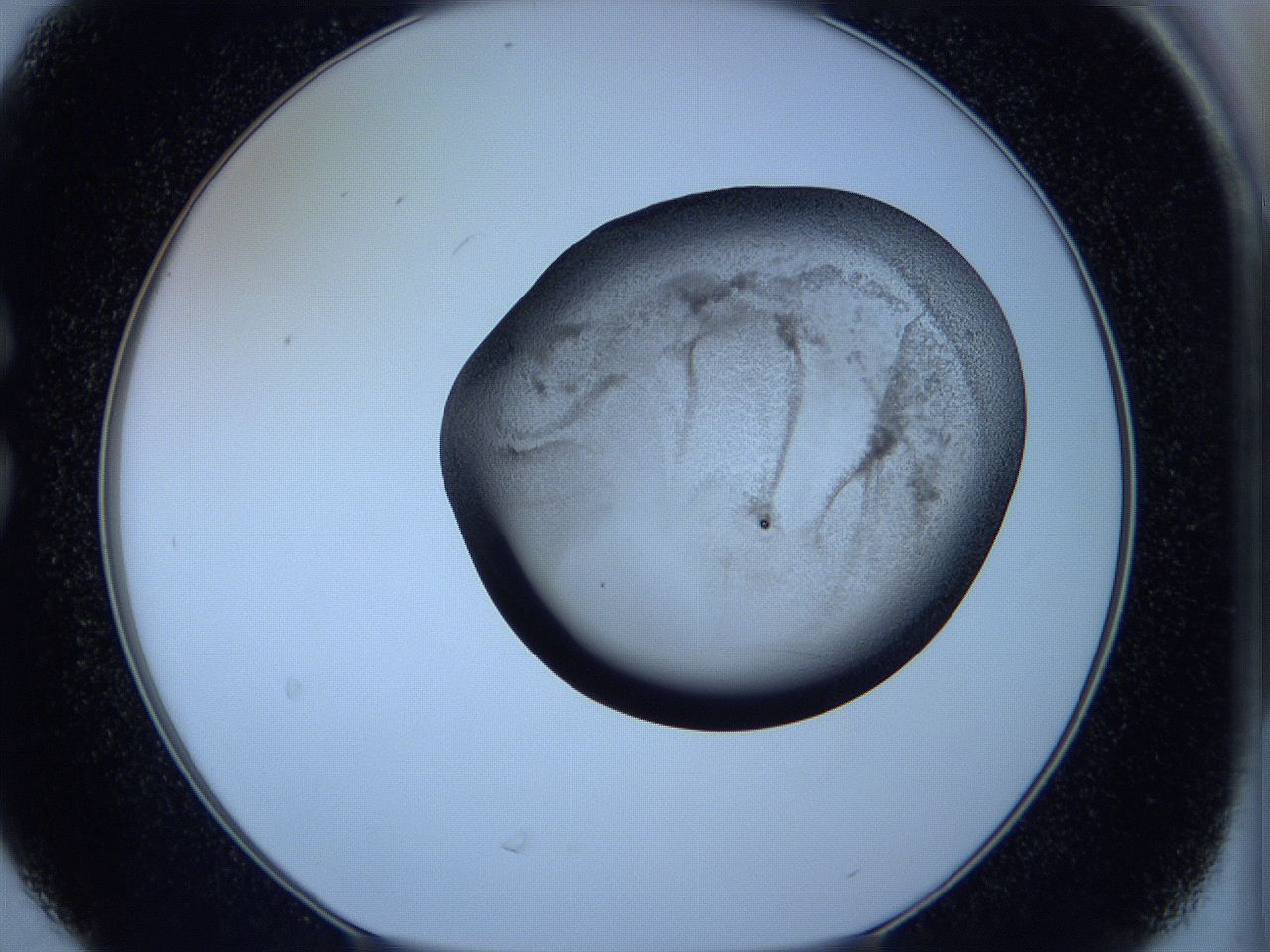 05w9_C6_ImagerDefaults_3.jpg