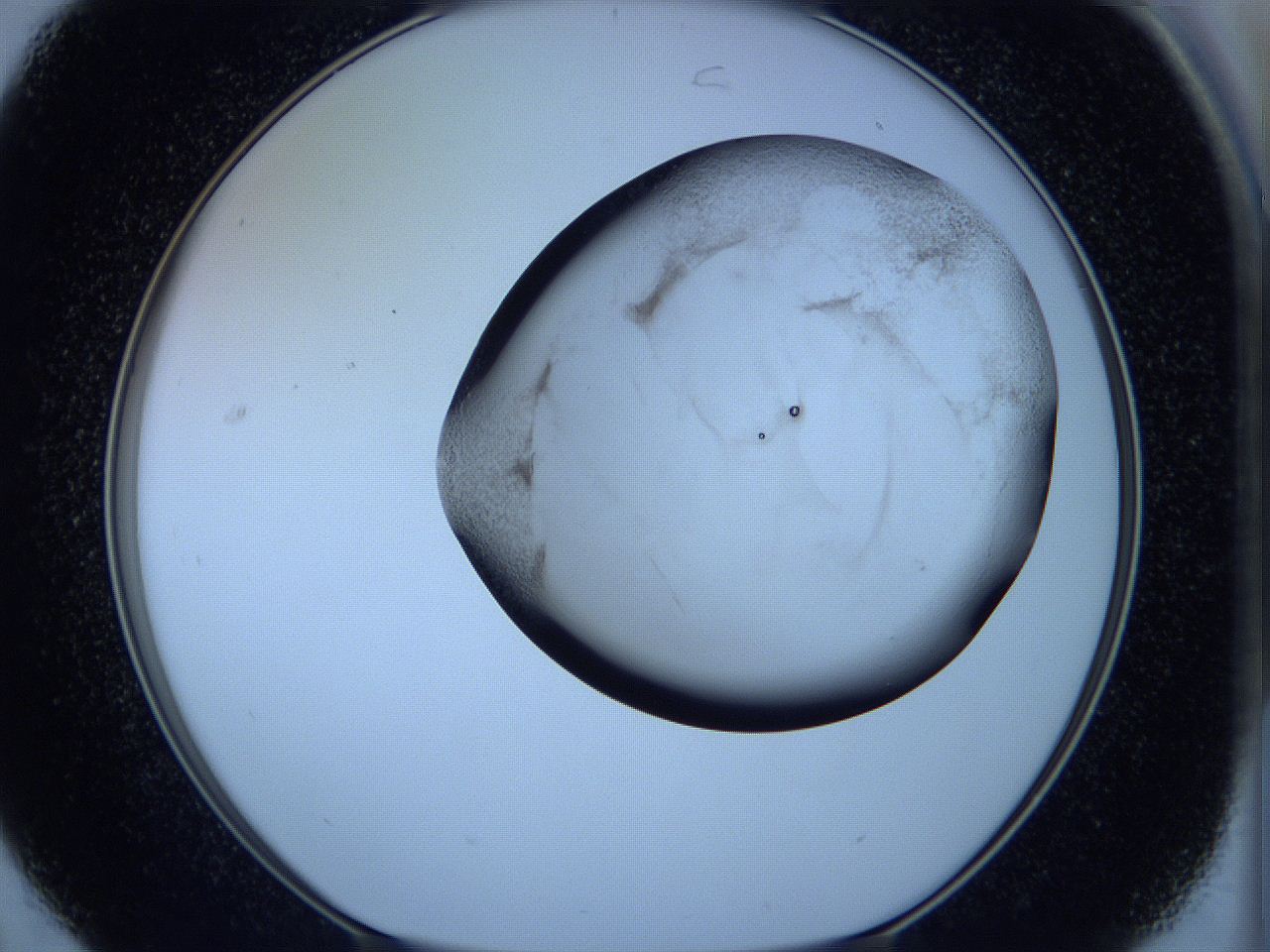 05w9_C7_ImagerDefaults_3.jpg