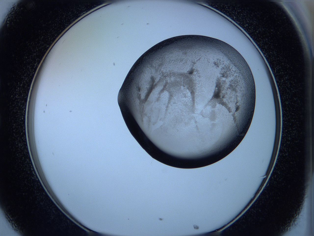 05w9_C8_ImagerDefaults_3.jpg