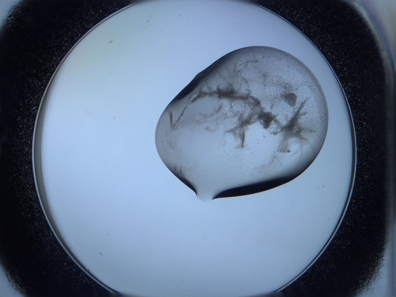 05w9_C9_ImagerDefaults_3.jpg