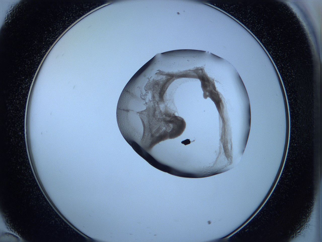 05w9_C10_ImagerDefaults_3.jpg