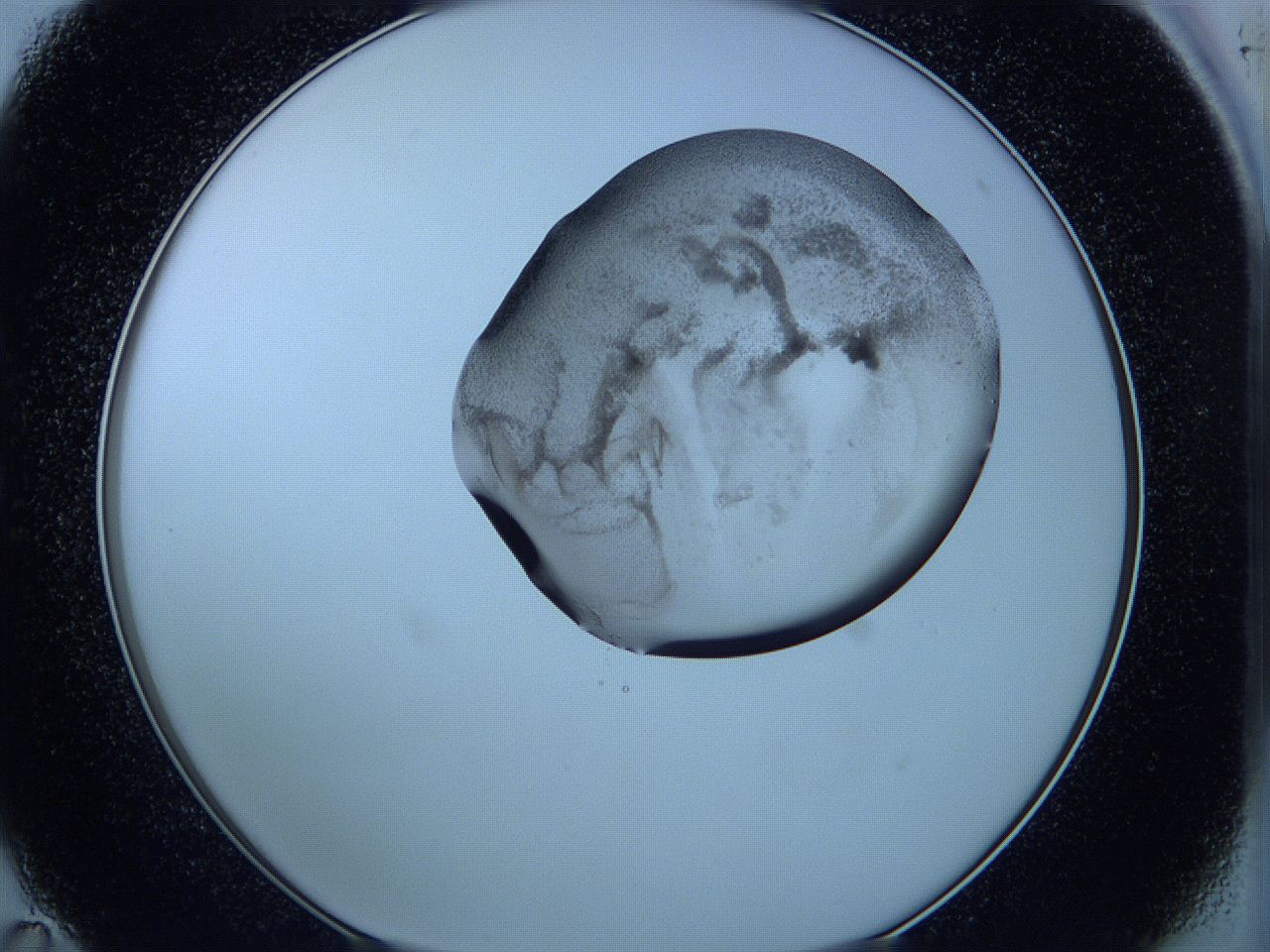 05w9_C11_ImagerDefaults_3.jpg