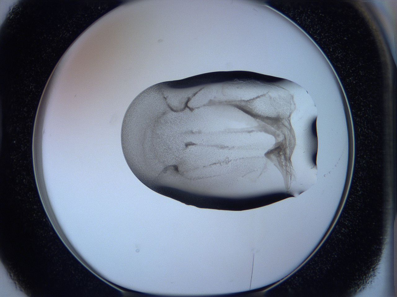 05w9_D2_ImagerDefaults_3.jpg