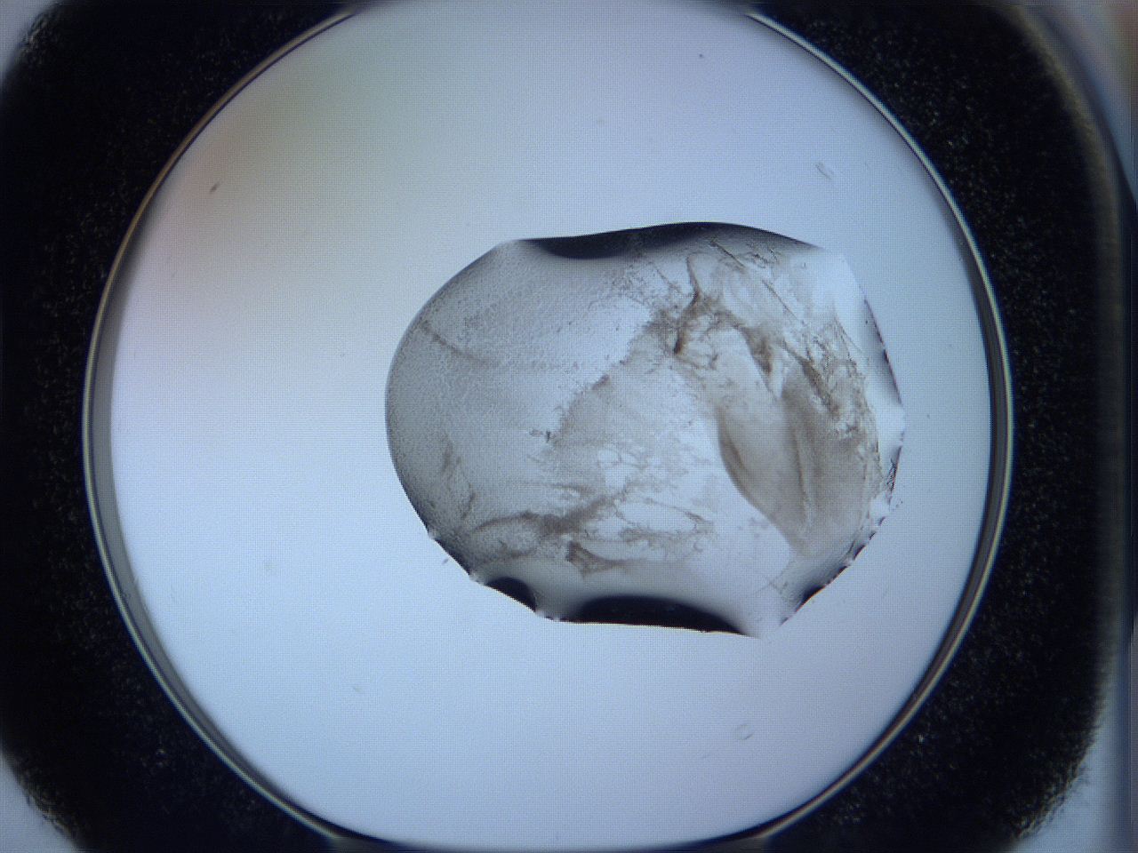05w9_D4_ImagerDefaults_3.jpg