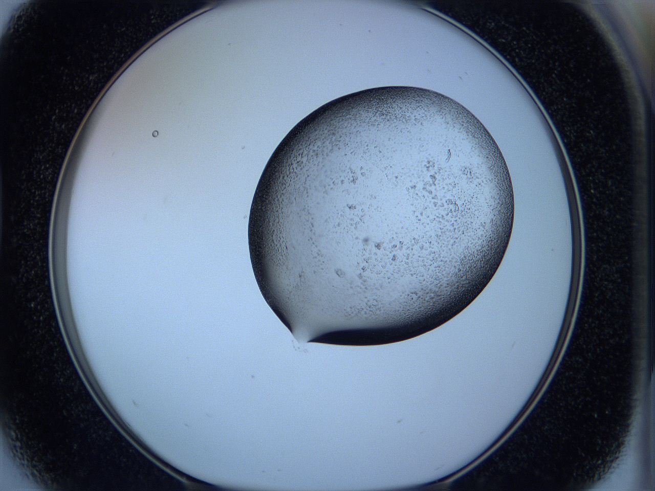 05w9_D5_ImagerDefaults_3.jpg