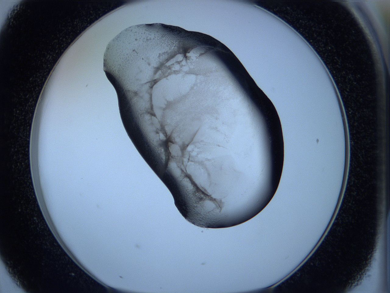 05w9_D7_ImagerDefaults_3.jpg