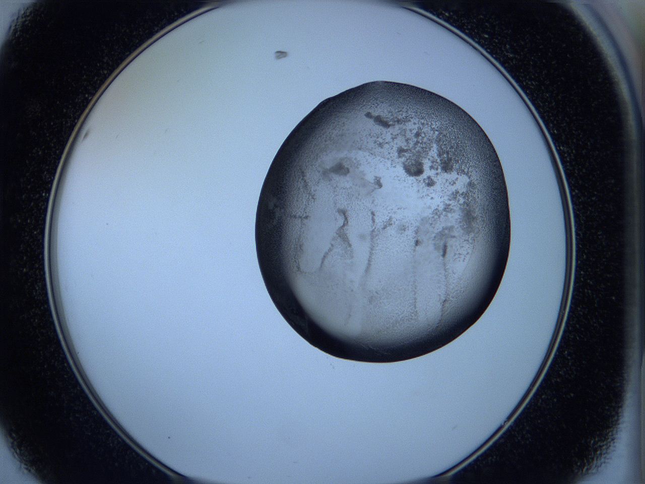 05w9_D8_ImagerDefaults_3.jpg