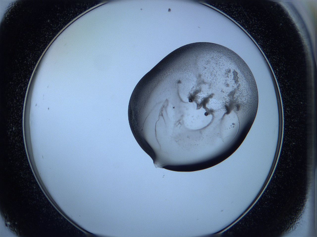 05w9_D9_ImagerDefaults_3.jpg