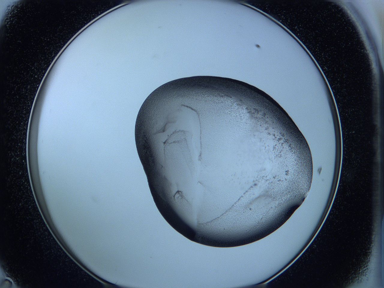 05w9_D11_ImagerDefaults_2.jpg
