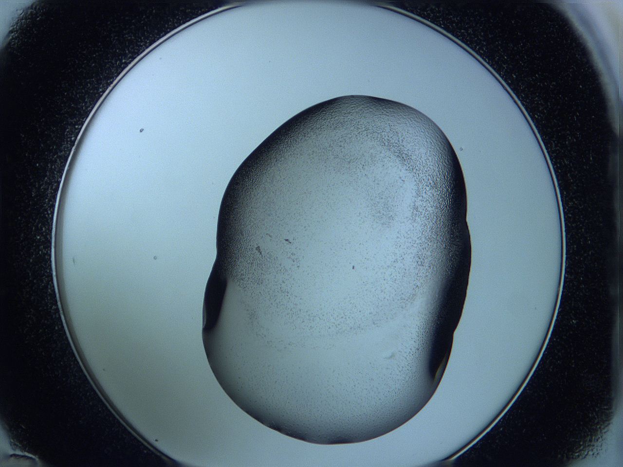 05w9_D12_ImagerDefaults_3.jpg