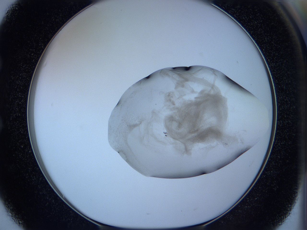 05w9_E3_ImagerDefaults_3.jpg
