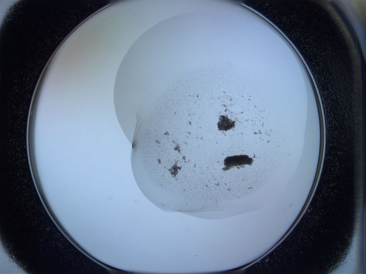 05w9_E4_ImagerDefaults_3.jpg