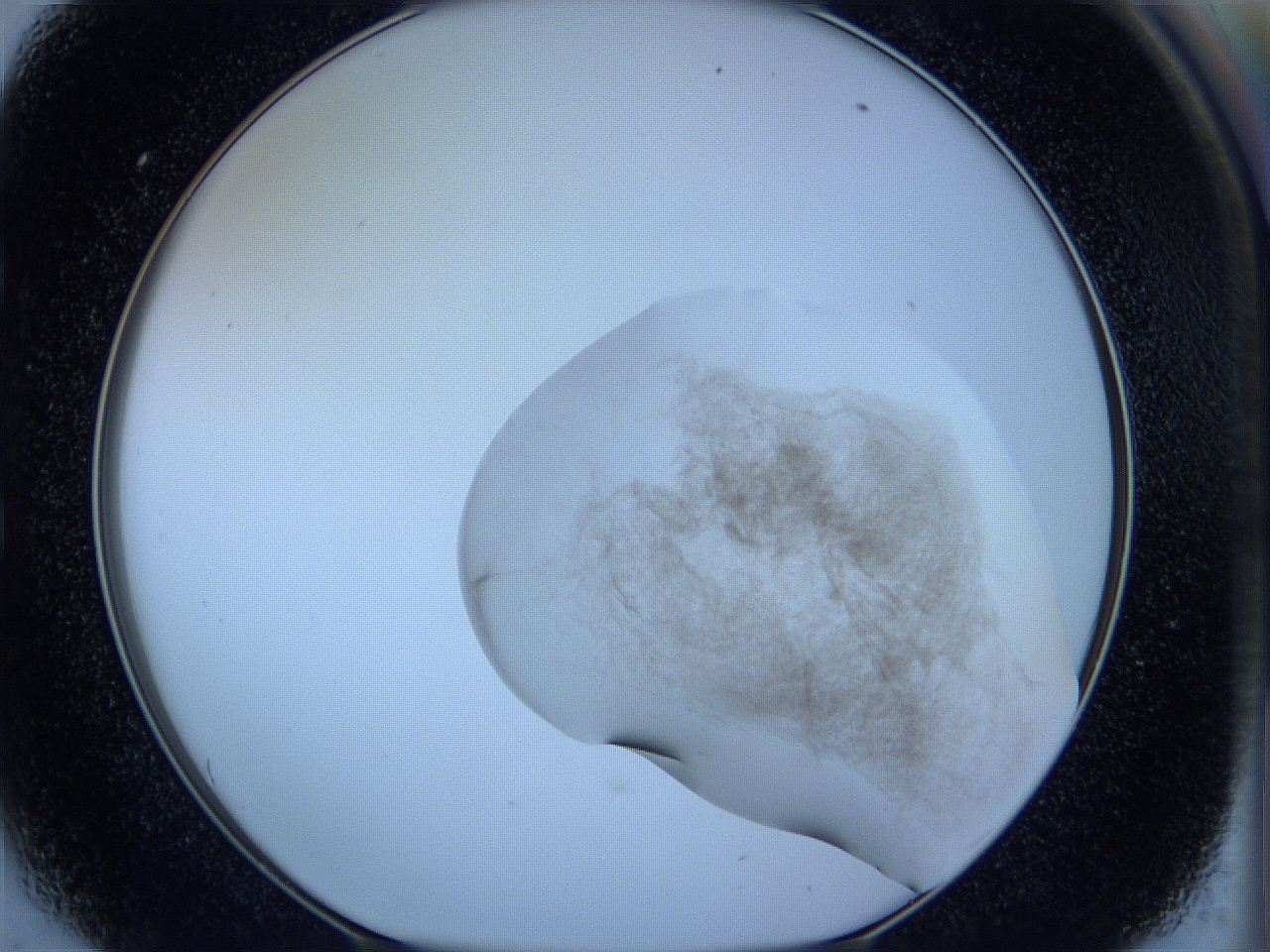 05w9_E6_ImagerDefaults_3.jpg