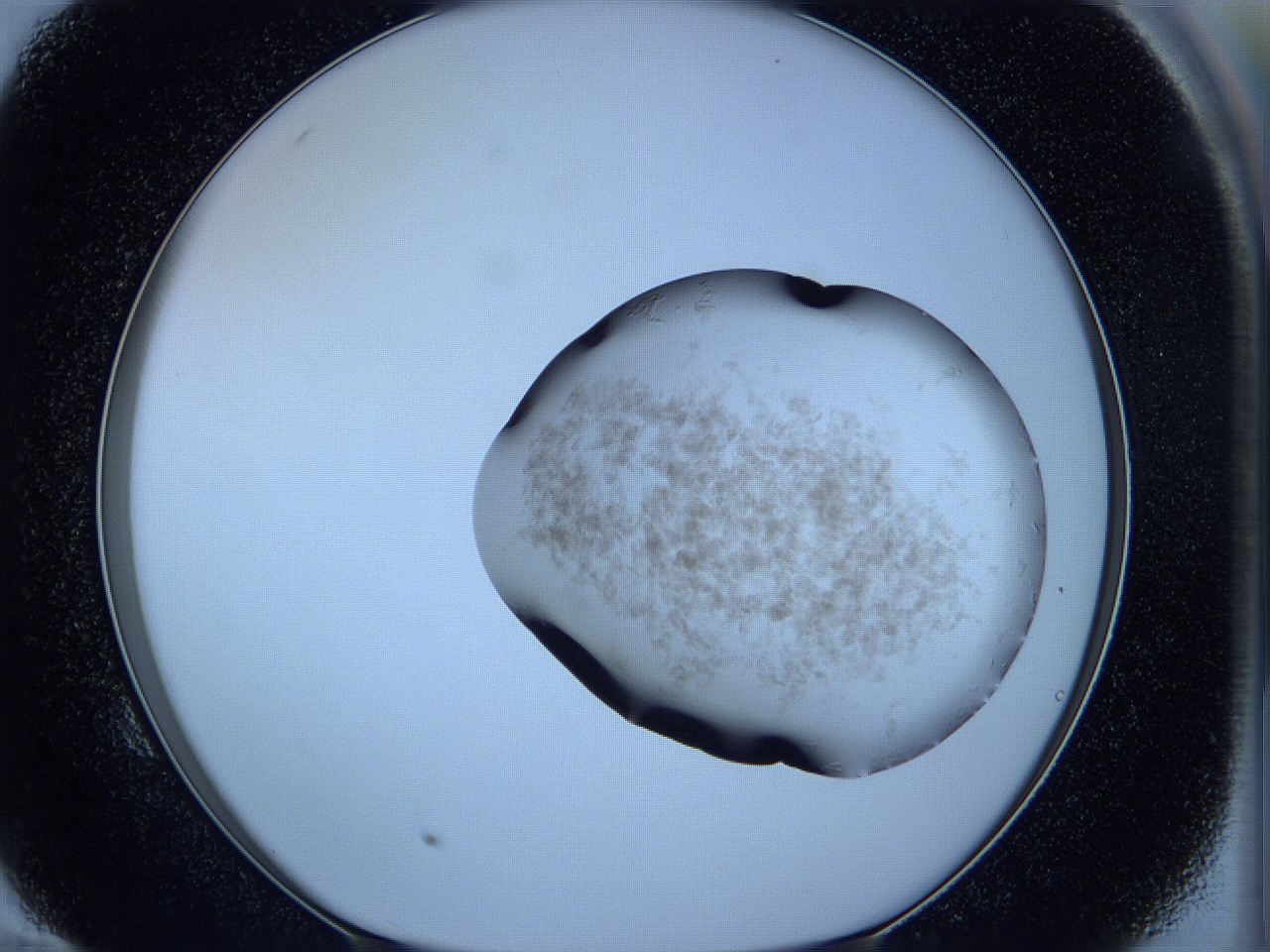 05w9_E10_ImagerDefaults_3.jpg