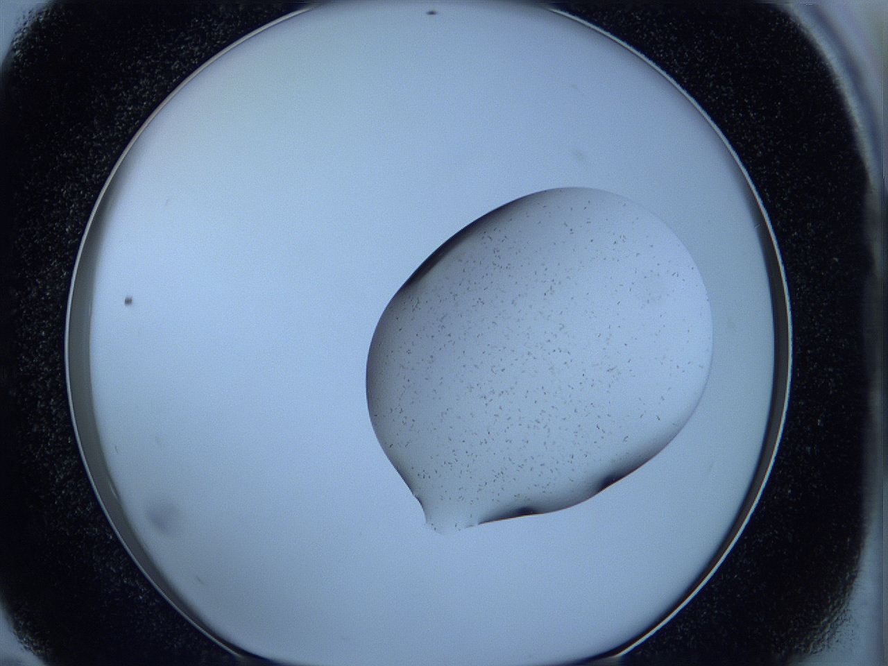 05w9_E11_ImagerDefaults_7.jpg