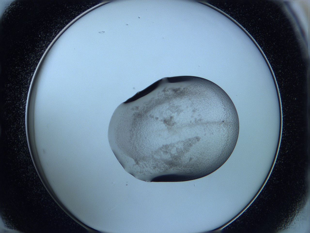 05w9_E12_ImagerDefaults_2.jpg
