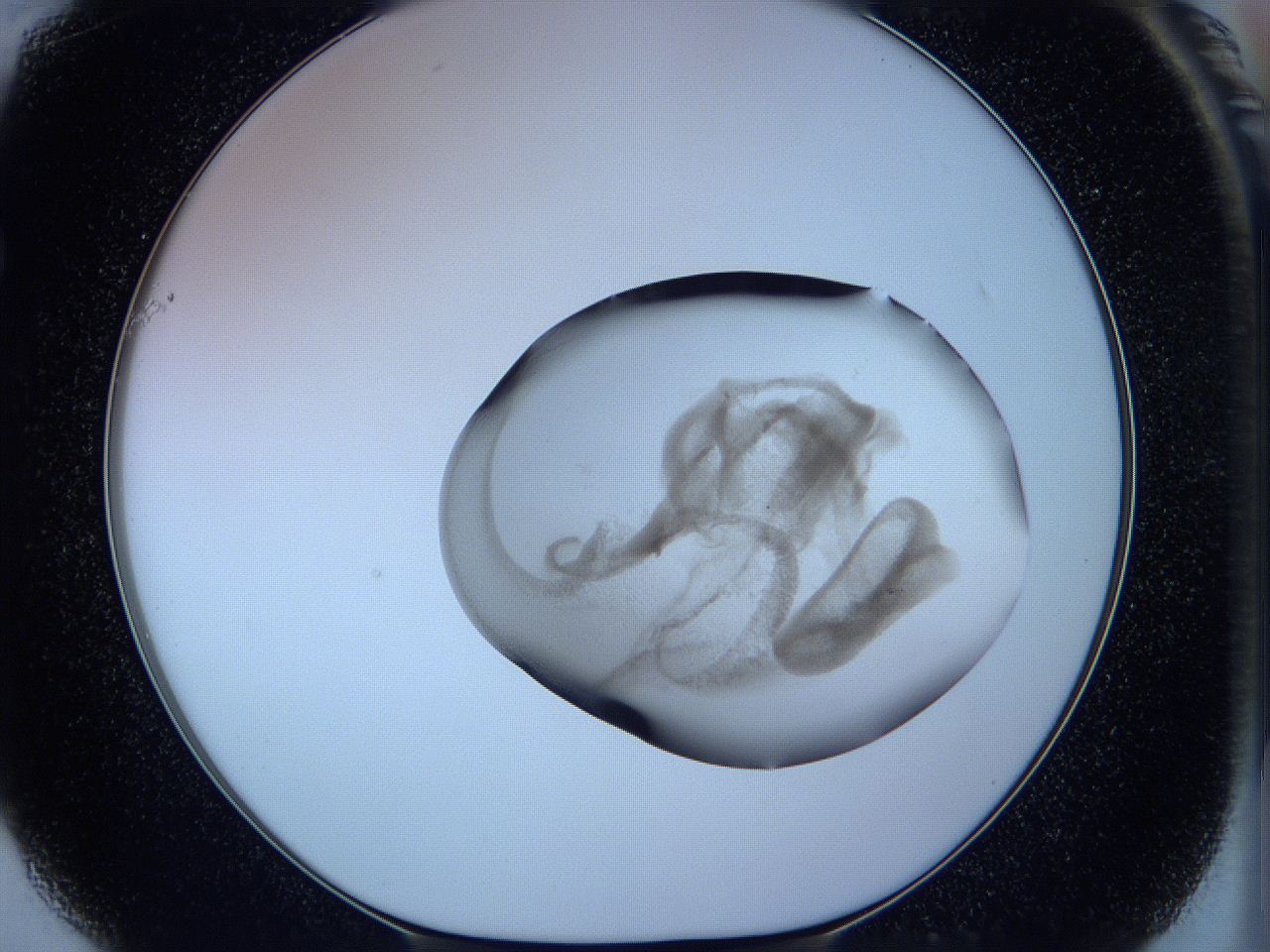 05w9_F1_ImagerDefaults_3.jpg