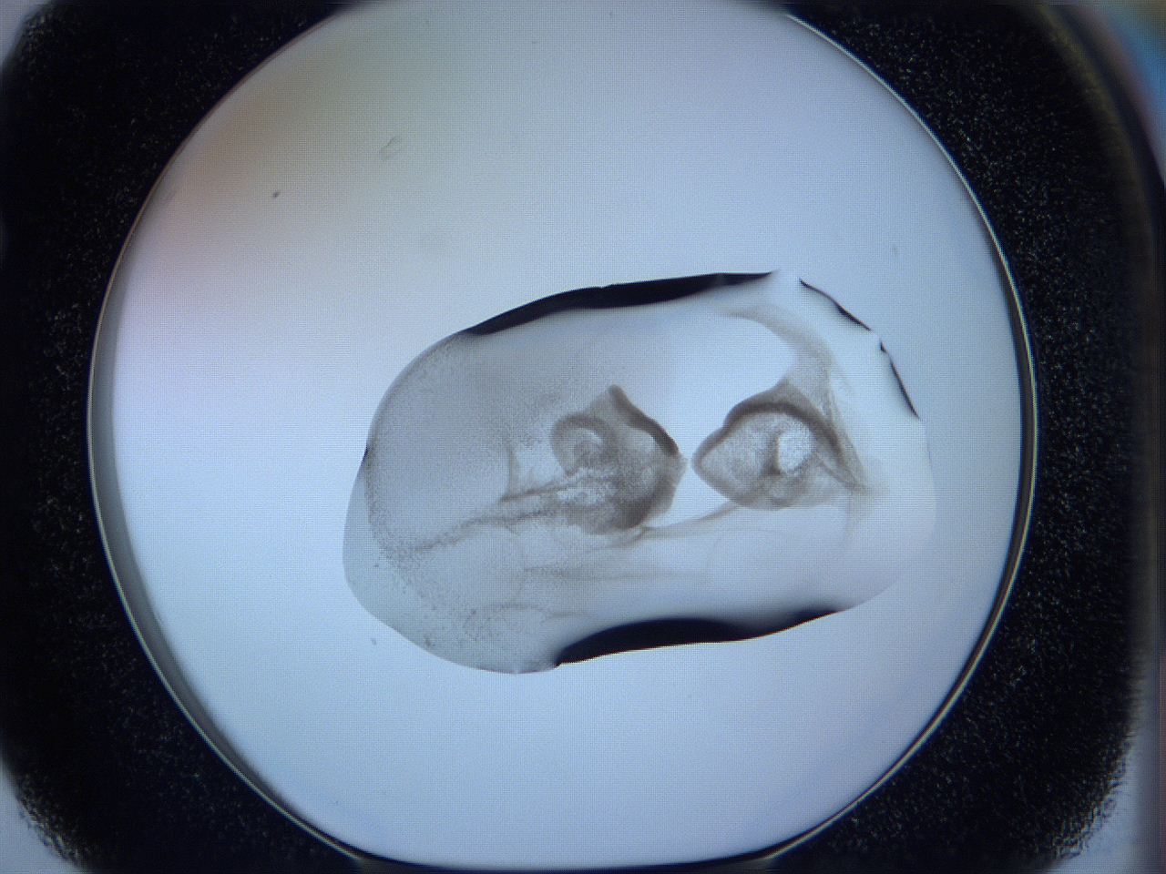 05w9_F3_ImagerDefaults_3.jpg