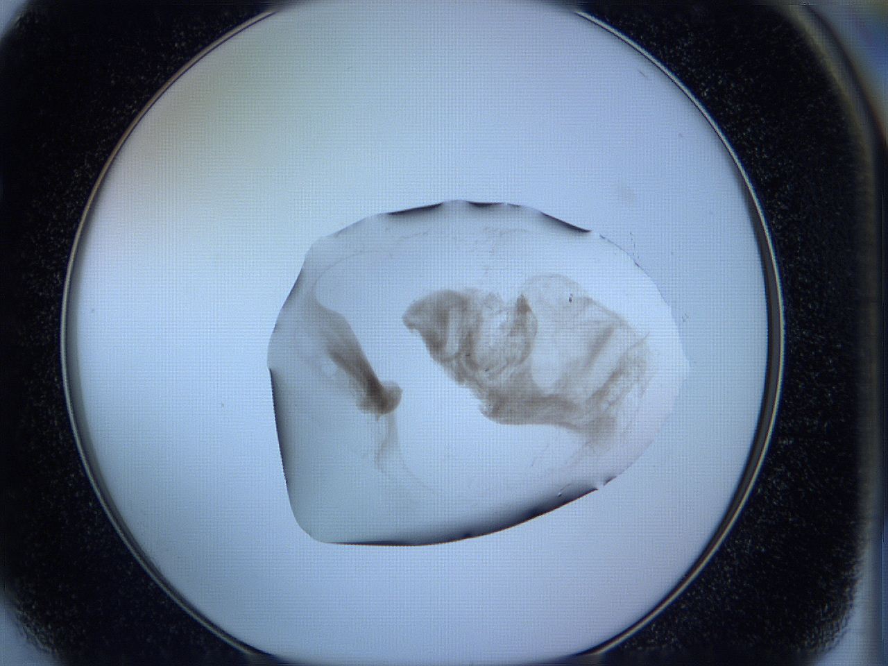 05w9_F4_ImagerDefaults_3.jpg