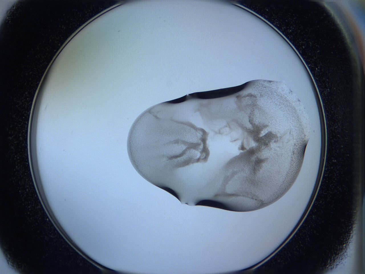 05w9_F7_ImagerDefaults_3.jpg