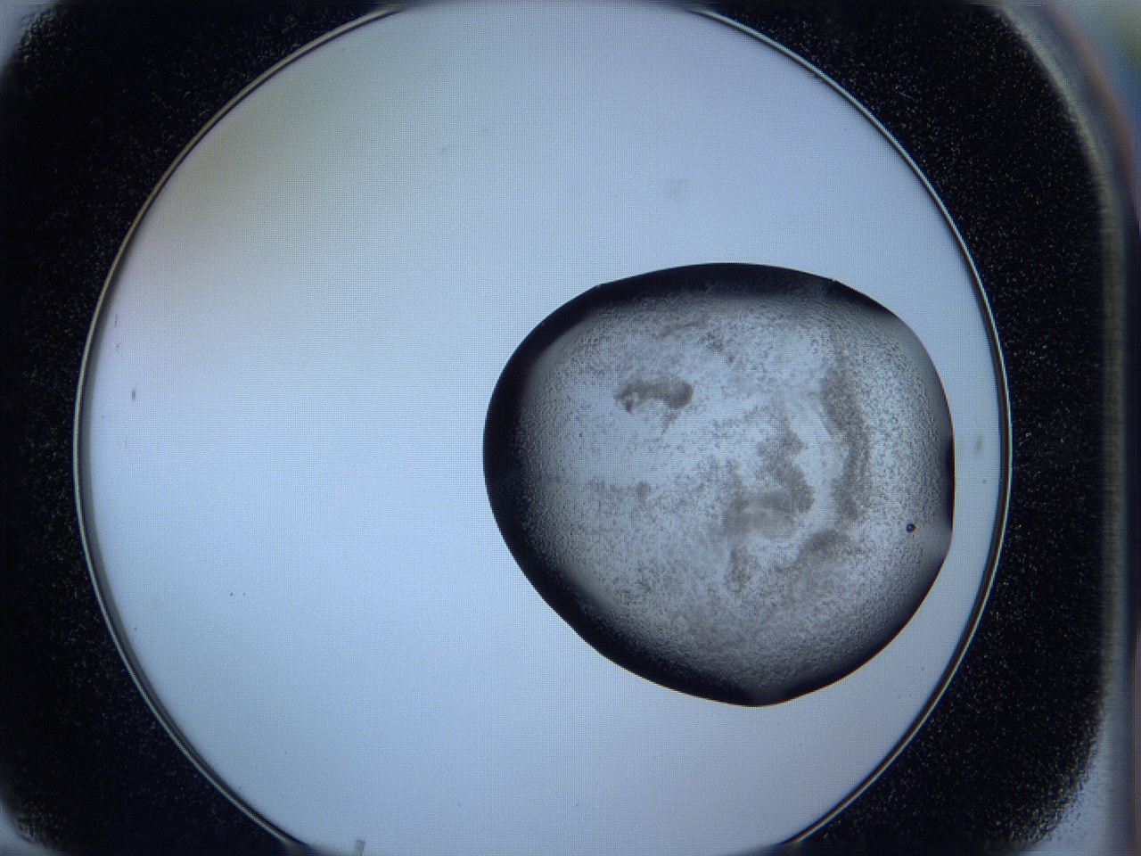 05w9_F10_ImagerDefaults_3.jpg