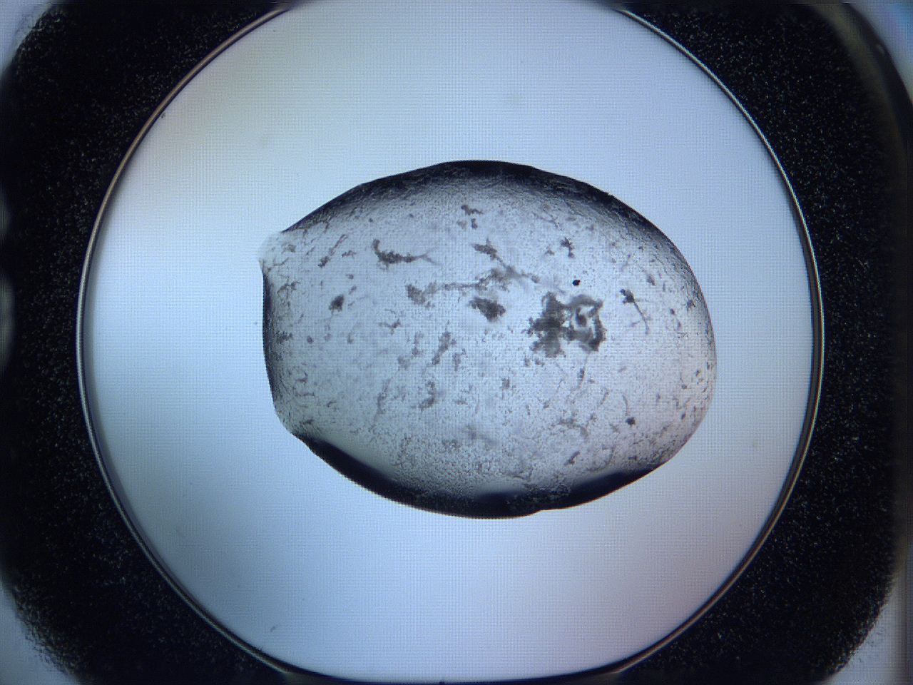 05w9_G2_ImagerDefaults_3.jpg