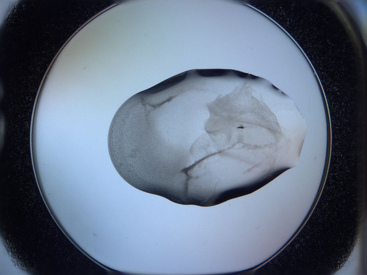 05w9_G3_ImagerDefaults_3.jpg