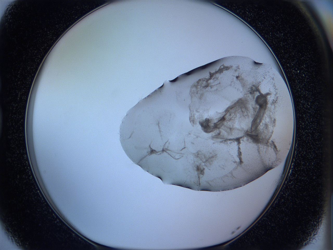 05w9_G5_ImagerDefaults_3.jpg