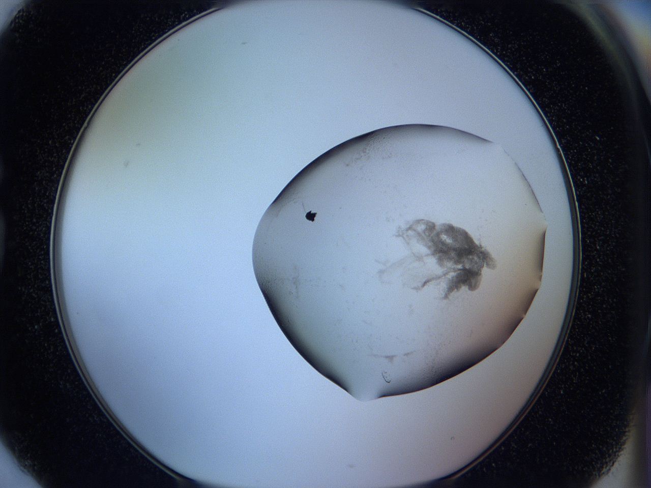 05w9_G6_ImagerDefaults_3.jpg