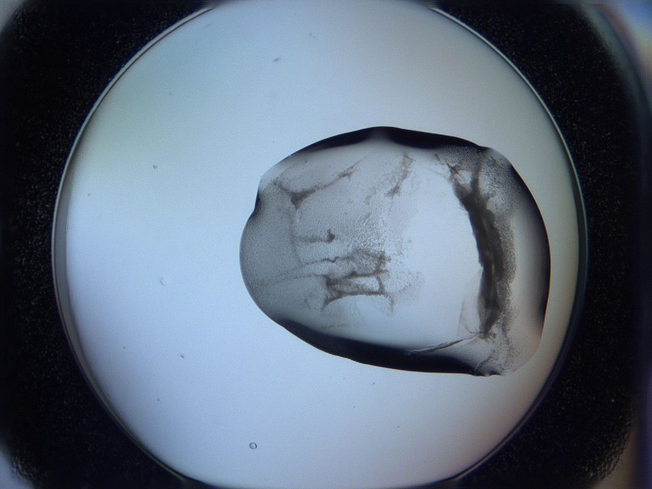 05w9_G7_ImagerDefaults_3.jpg