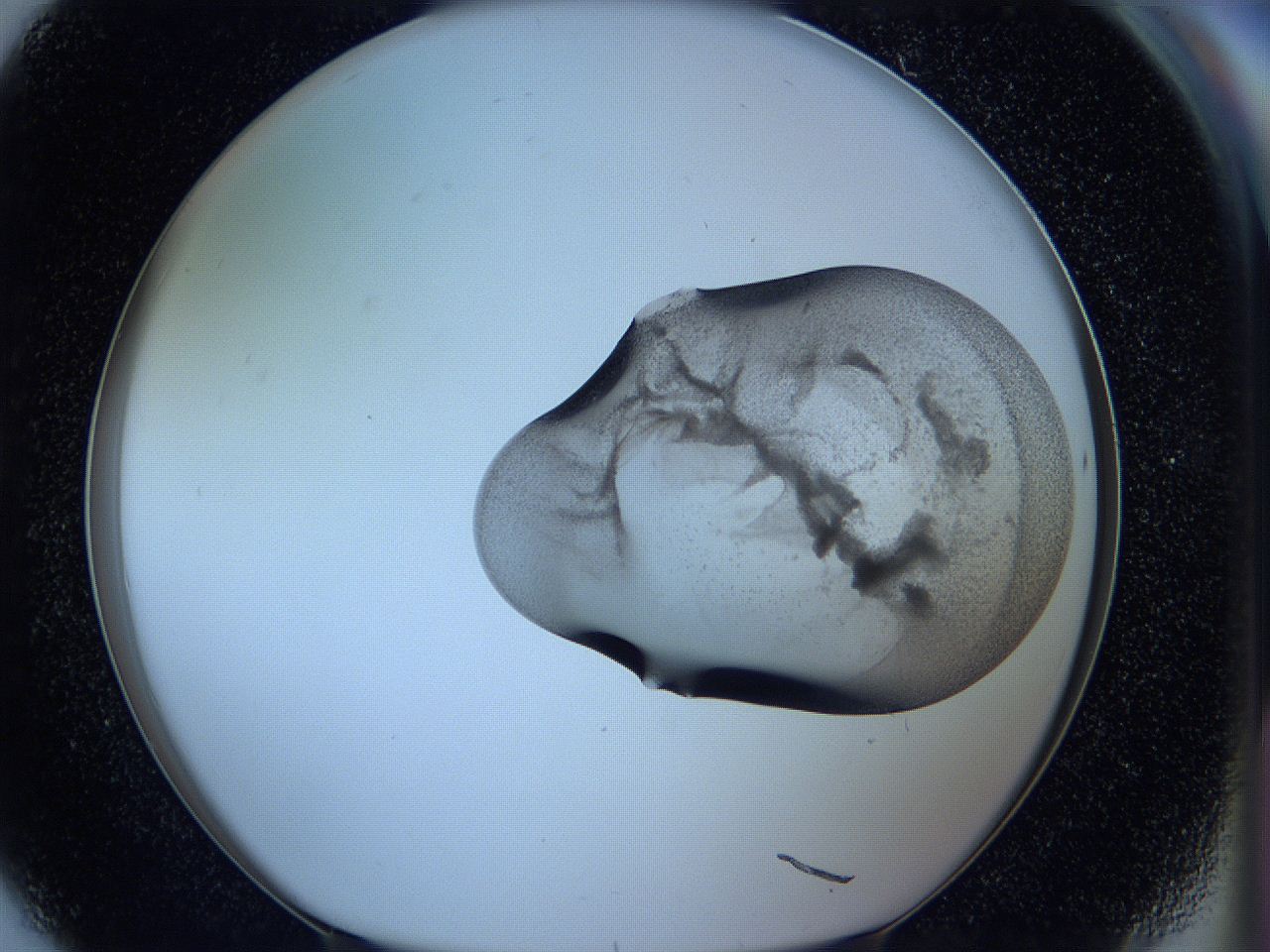 05w9_G8_ImagerDefaults_3.jpg