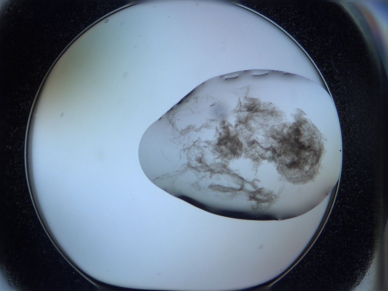 05w9_G9_ImagerDefaults_3.jpg