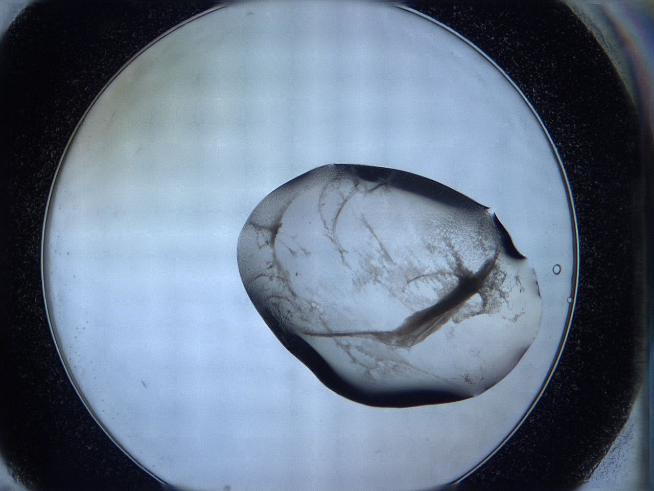 05w9_G11_ImagerDefaults_3.jpg