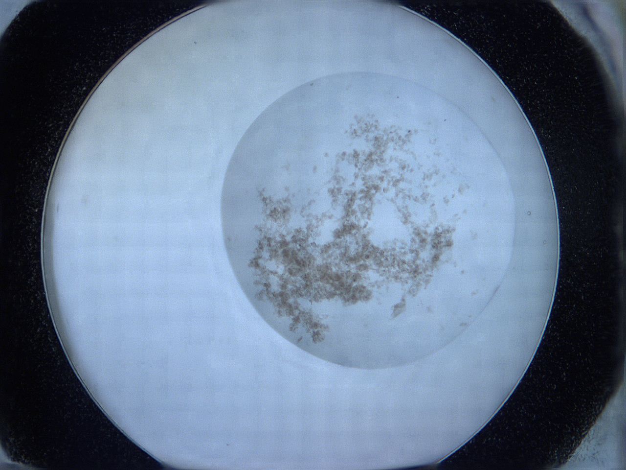 05w9_G12_ImagerDefaults_3.jpg