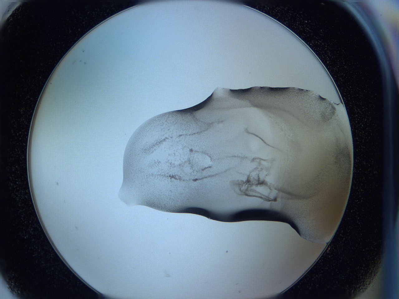 05w9_H8_ImagerDefaults_3.jpg