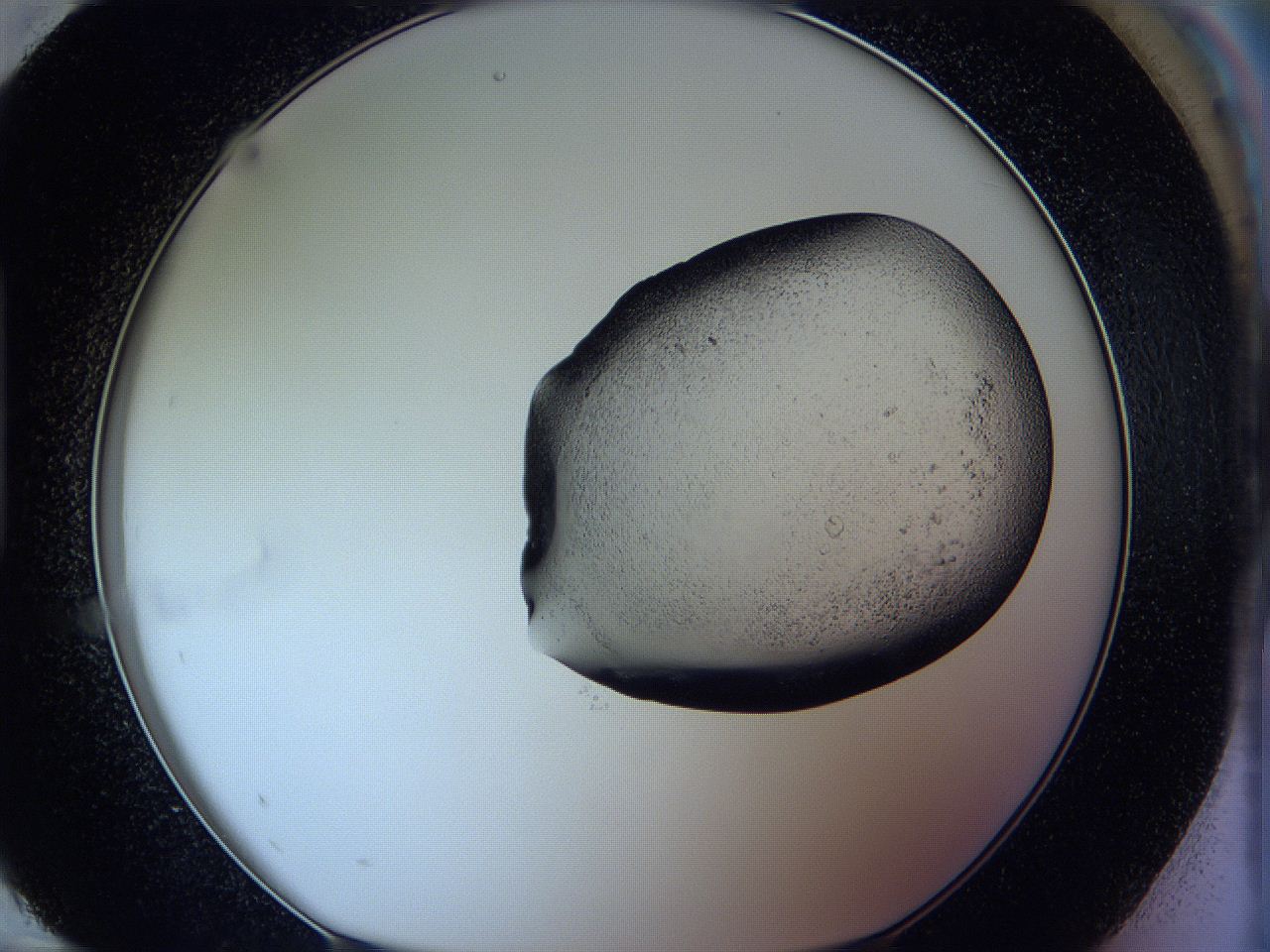 05w9_H12_ImagerDefaults_3.jpg