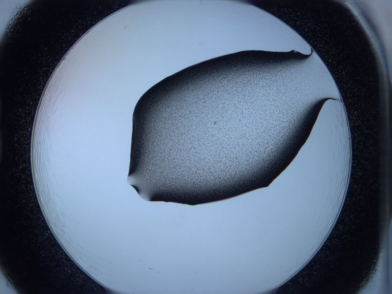 05wa_B8_ImagerDefaults_3.jpg