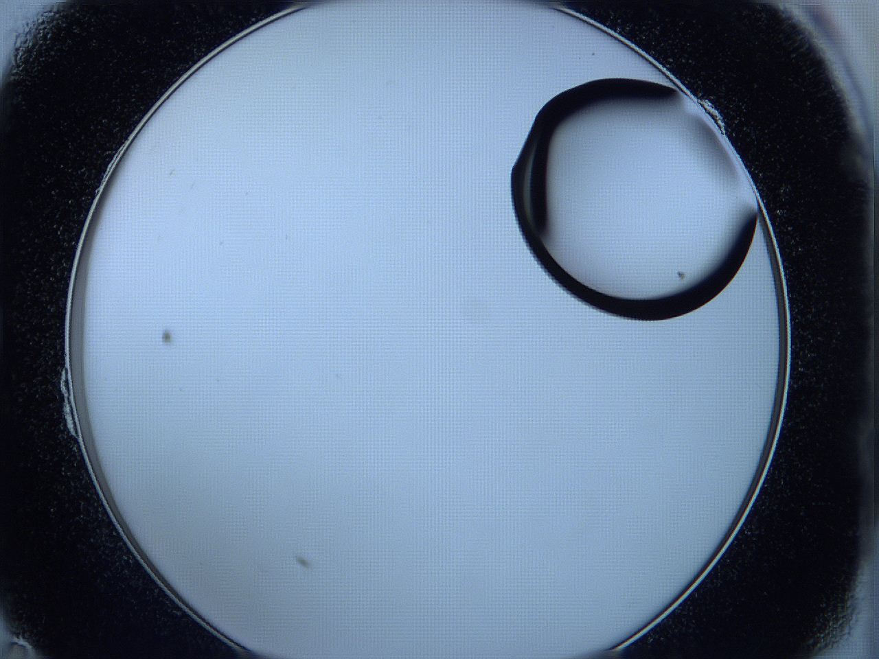 05wa_B11_ImagerDefaults_1.jpg