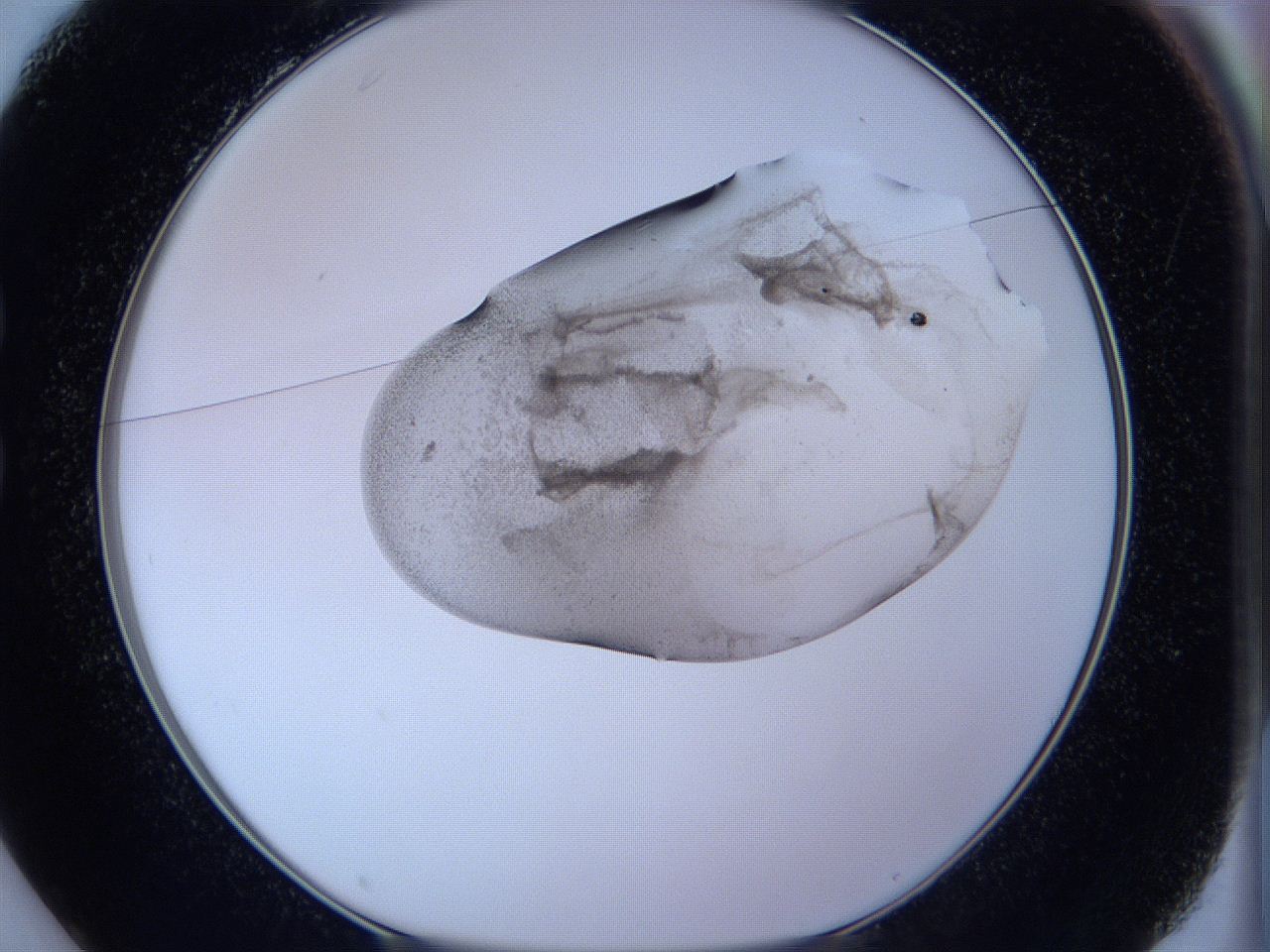 05wa_C1_ImagerDefaults_3.jpg
