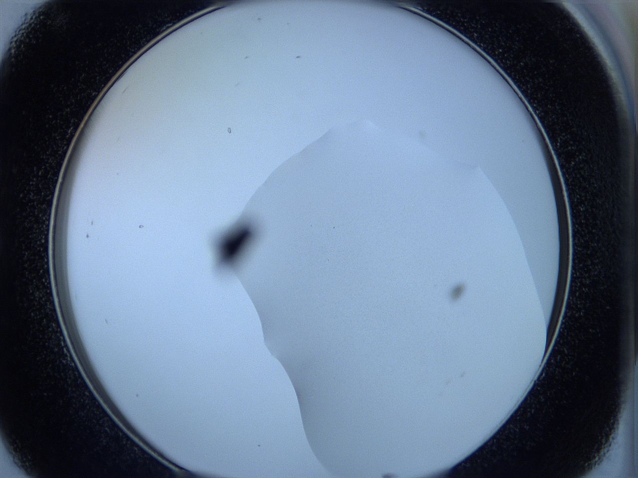 05wa_C8_ImagerDefaults_1.jpg