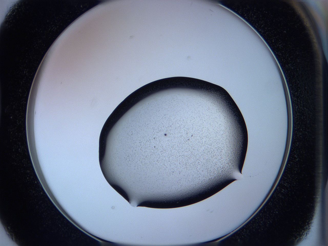 05wa_D2_ImagerDefaults_3.jpg