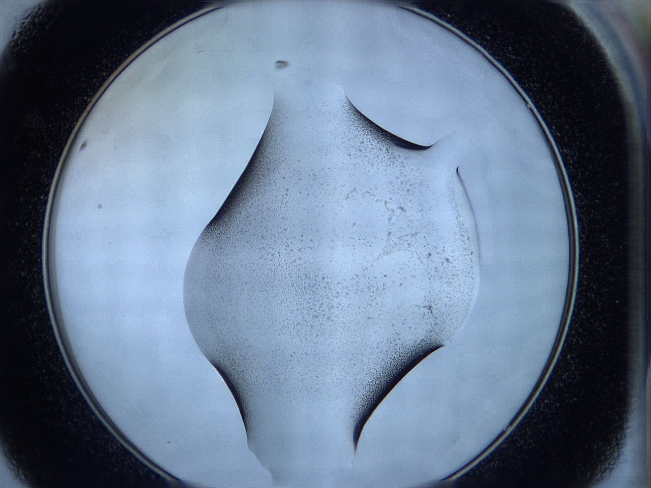 05wa_D8_ImagerDefaults_3.jpg