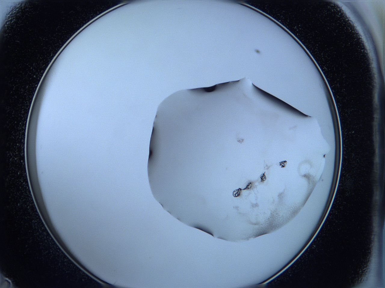 05wa_D11_ImagerDefaults_3.jpg