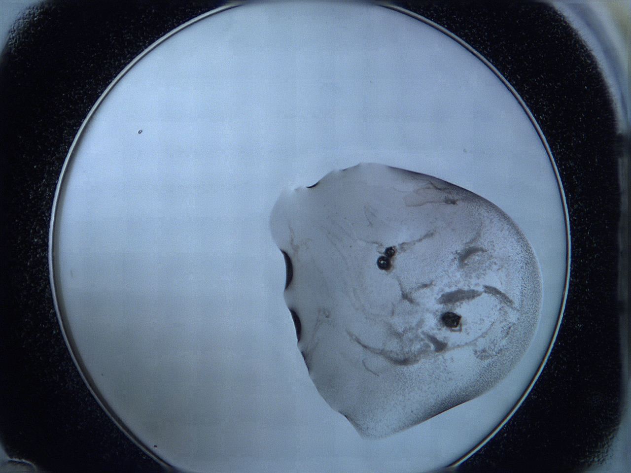 05wa_D12_ImagerDefaults_3.jpg