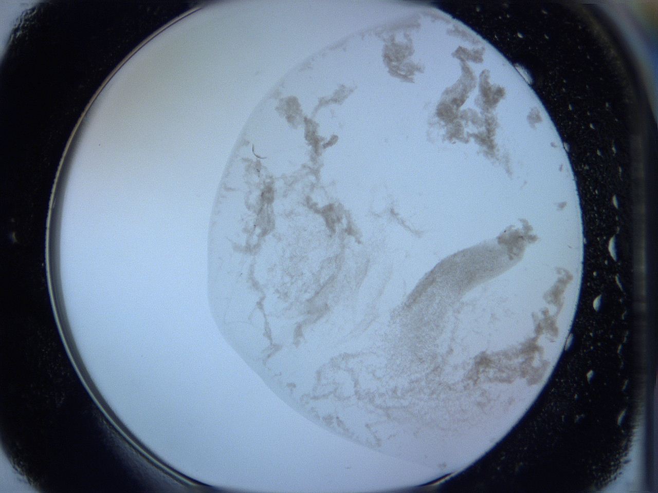 05wa_E4_ImagerDefaults_3.jpg