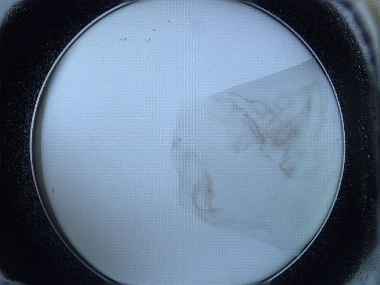 05wa_E12_ImagerDefaults_3.jpg