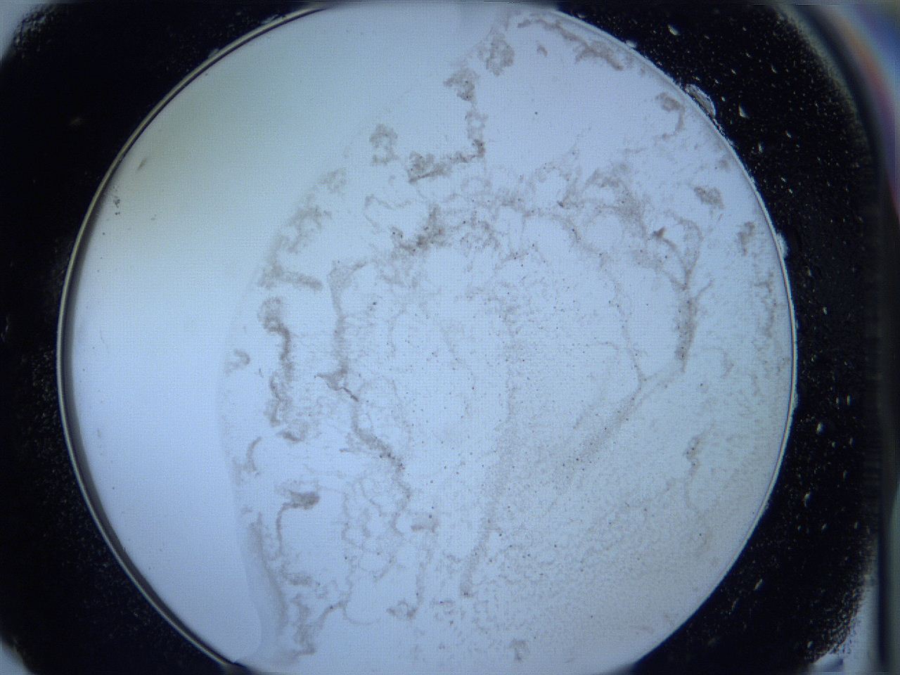 05wa_F9_ImagerDefaults_5.jpg