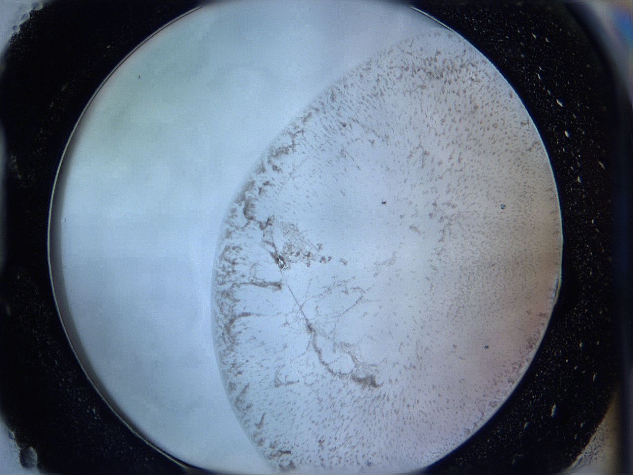 05wa_H3_ImagerDefaults_3.jpg
